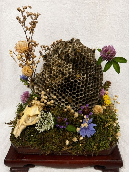 A fallen colony, reclaimed by the beauty of the natural world.
