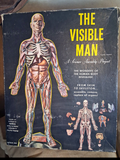 Antique 1950 -The Visible Man model