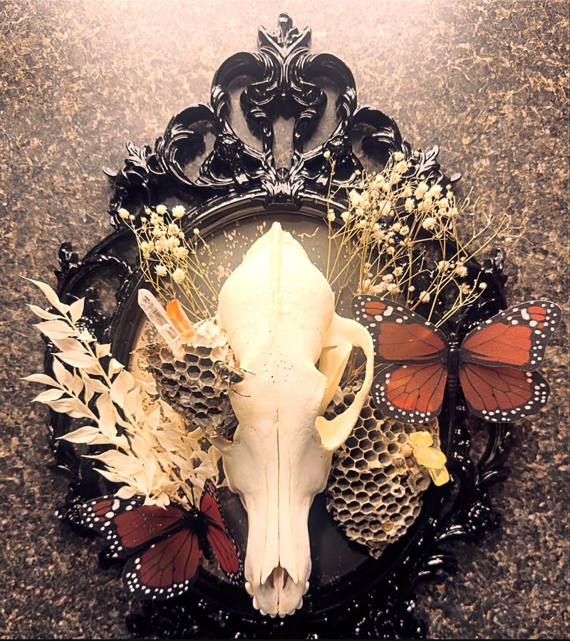 The Pollinator’s Requiem