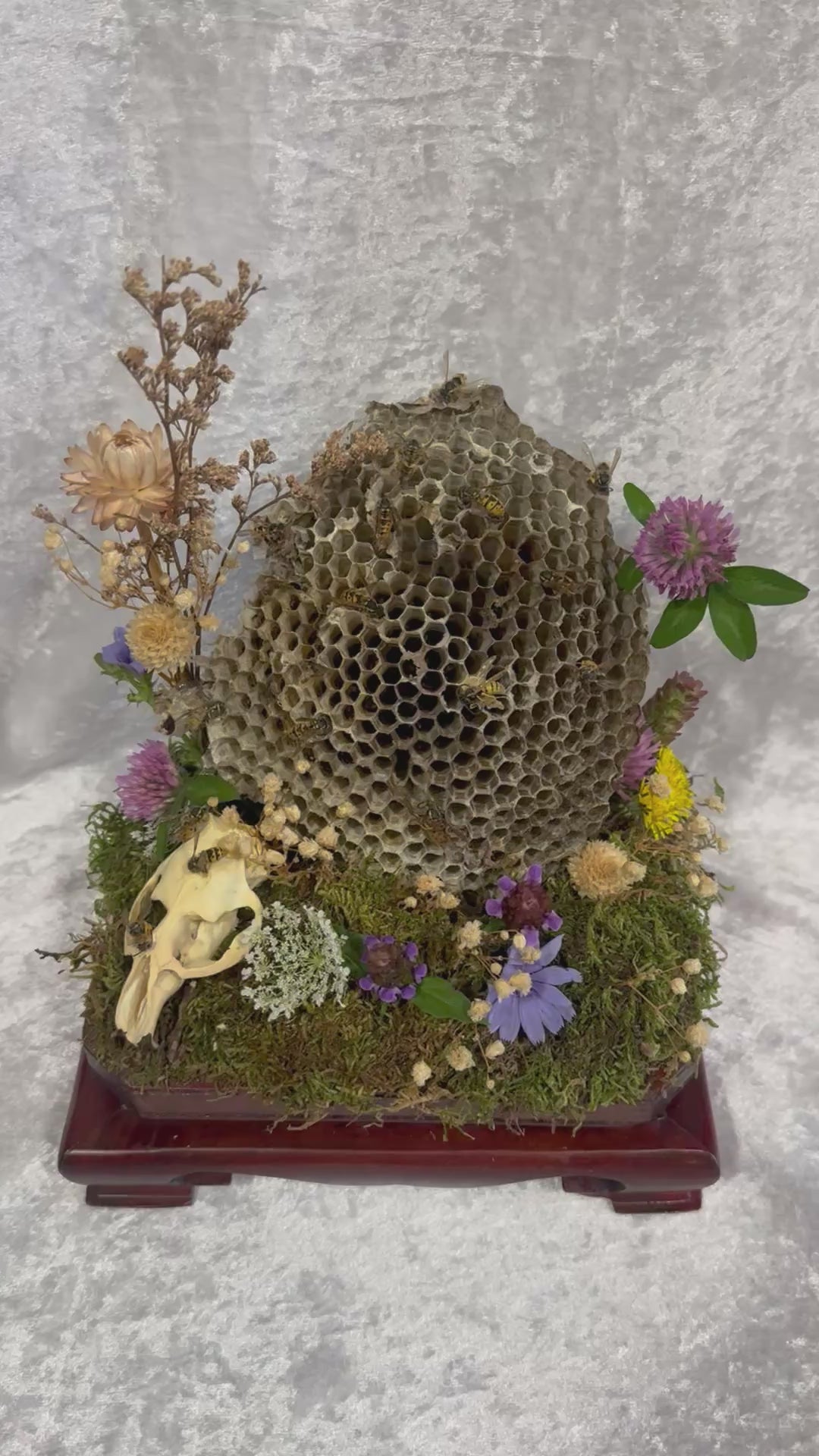 Yellow Jacket Display